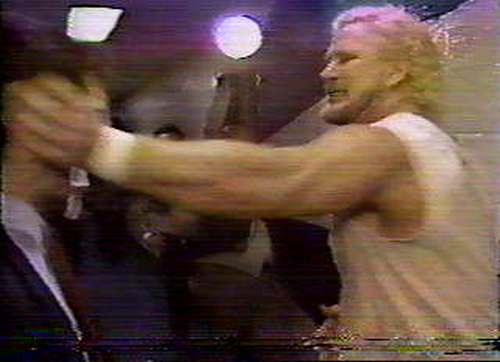 Things Wrestling Fans Should Know About David Schultz
