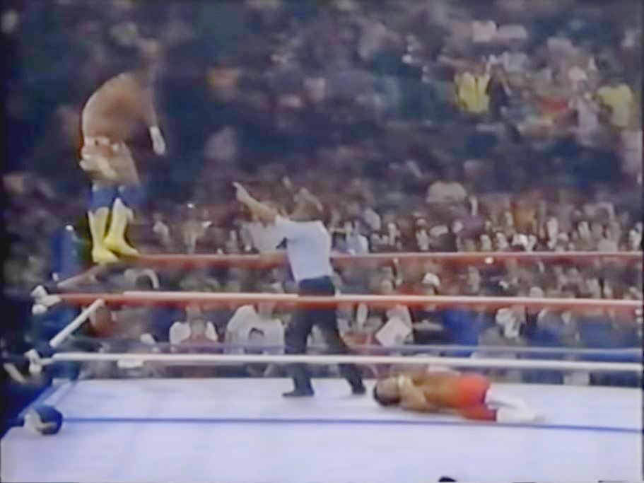 A Moment In Time: Bruno Sammartino Attacks 'Macho Man' Randy Savage | Ring  the Damn Bell